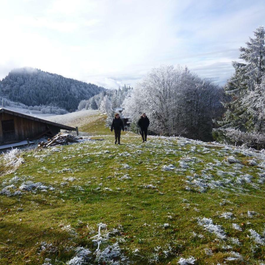 Les Sapins Blancs Apartman Vacheresse Kültér fotó