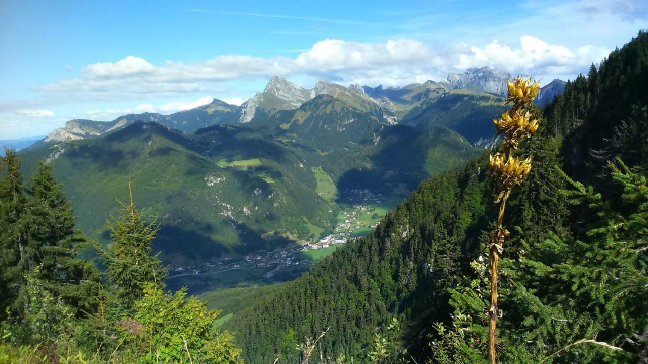 Les Sapins Blancs Apartman Vacheresse Kültér fotó