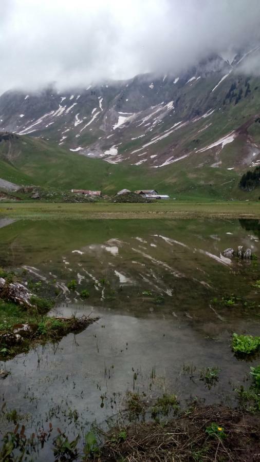 Les Sapins Blancs Apartman Vacheresse Kültér fotó